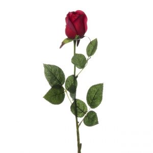 Silk Rose